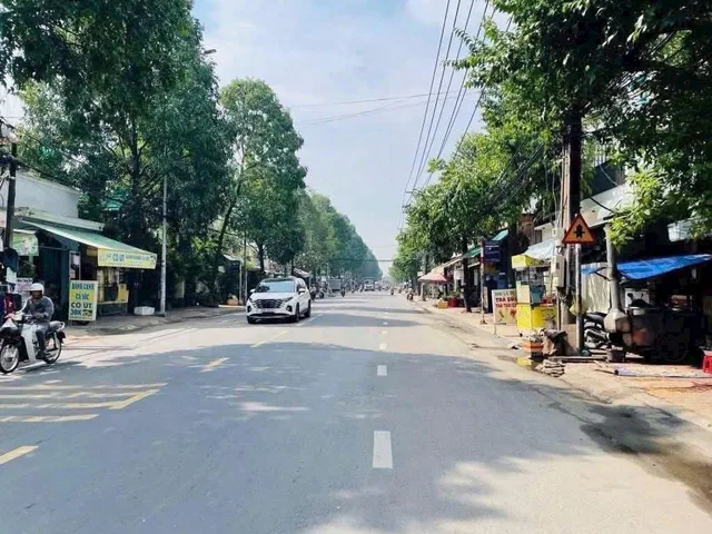 Bất động sản tại Đồng Nai - ảnh 1