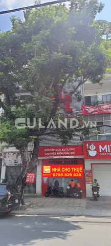 Bất động sản tại TP. Hồ Chí Minh - ảnh 1