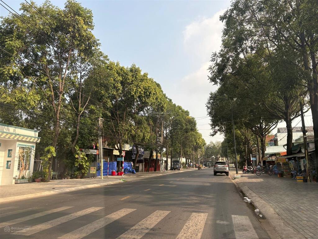 Bất động sản tại Bình Dương - ảnh 1