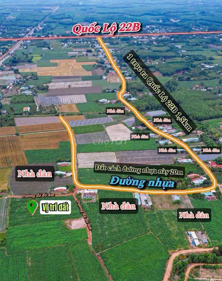 Bất động sản tại Tây Ninh - ảnh 1