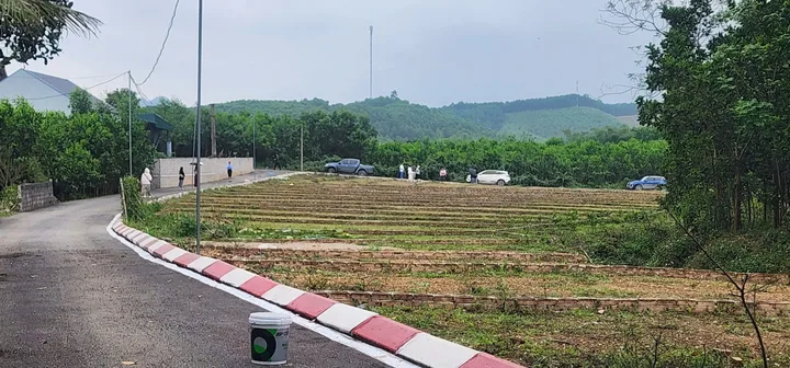 Bất động sản tại Phú Thọ - ảnh 1