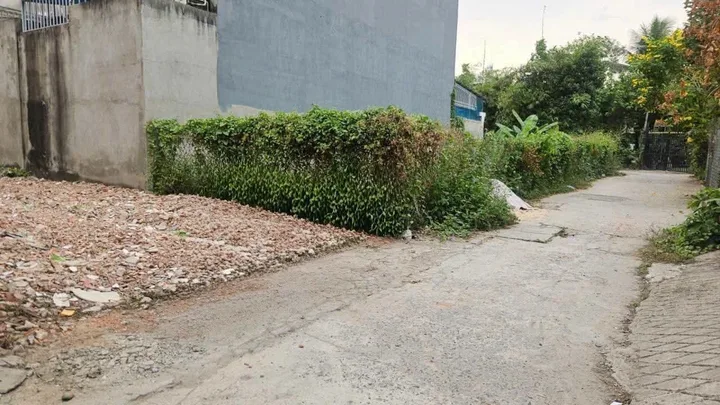Bất động sản tại Bình Dương - ảnh 1