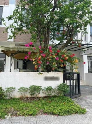 Bất động sản tại Thừa Thiên Huế - ảnh 1