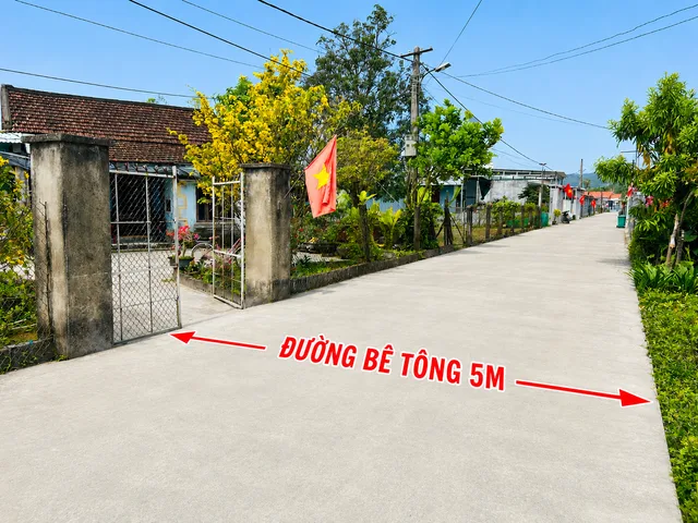 Bất động sản tại Đà Nẵng - ảnh 1