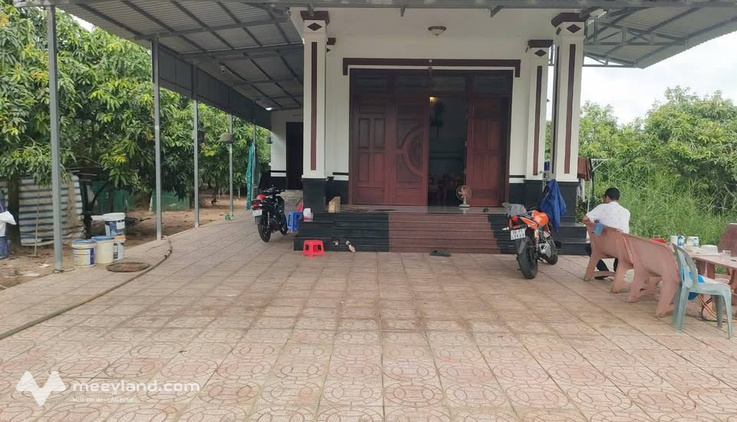 Bất động sản tại Đồng Tháp - ảnh 1