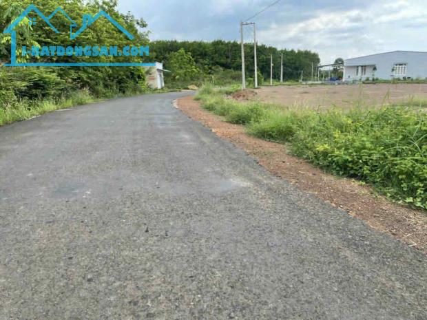 Bất động sản tại Bình Phước - ảnh 1