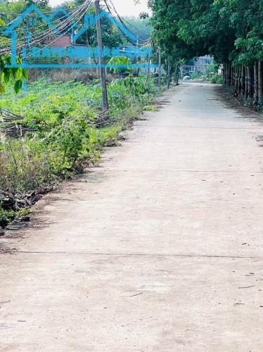 Bất động sản tại Bình Phước - ảnh 1