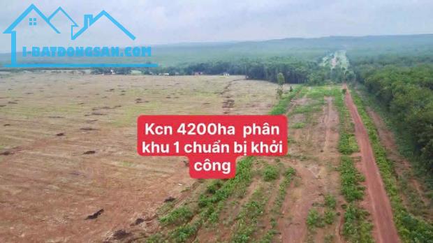 Bất động sản tại Bình Phước - ảnh 1