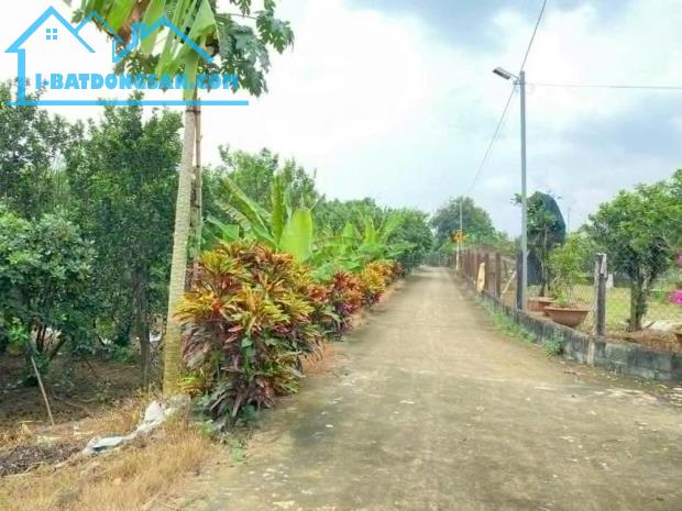 Bất động sản tại Bình Phước - ảnh 1