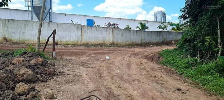 Bất động sản tại Bình Dương - ảnh 1