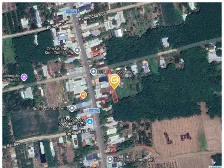 Bất động sản tại Bình Dương - ảnh 1