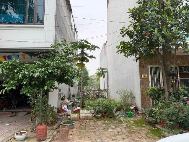 Bất động sản tại Bắc Ninh - ảnh 1