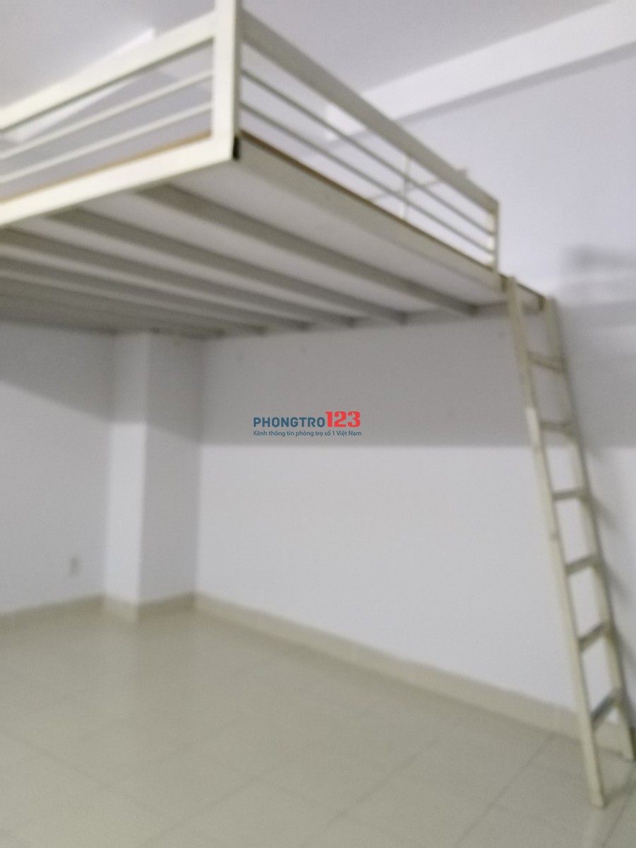 Bất động sản tại TP. Hồ Chí Minh - ảnh 1