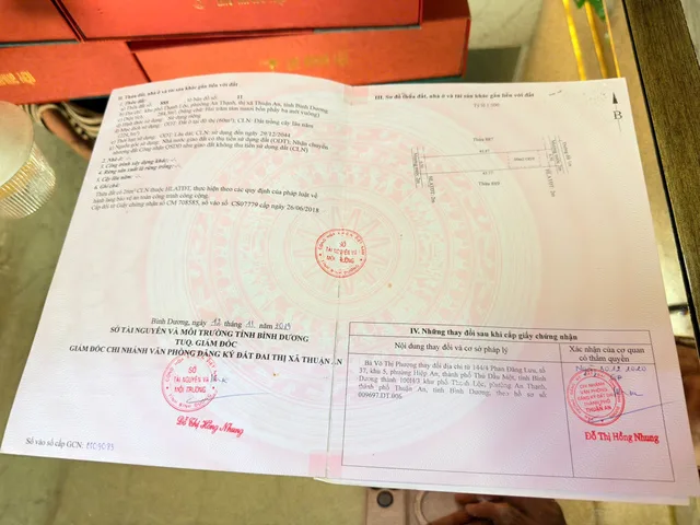 Bất động sản tại Bình Dương - ảnh 1