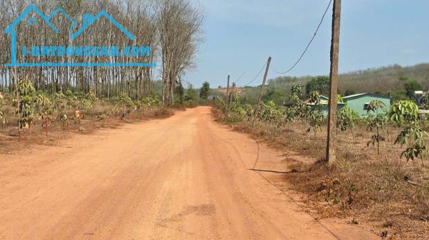 Bất động sản tại Bình Phước - ảnh 1