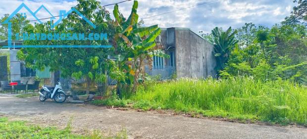 Bất động sản tại Bình Phước - ảnh 1