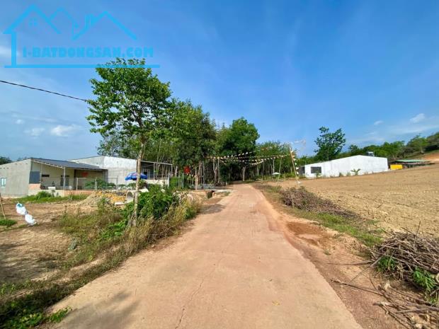 Bất động sản tại Bình Phước - ảnh 1