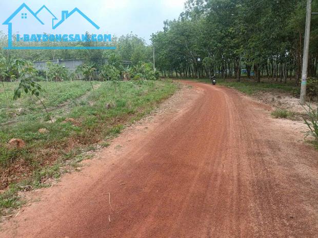 Bất động sản tại Bình Phước - ảnh 1