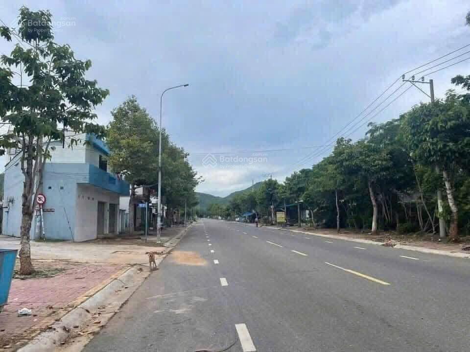 Bất động sản tại Bà Rịa - Vũng Tàu - ảnh 1