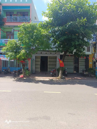 Bất động sản tại Bình Định - ảnh 1