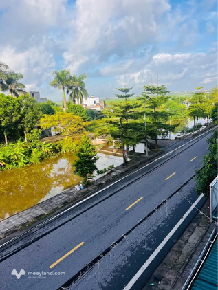 Bất động sản tại Thái Bình - ảnh 1