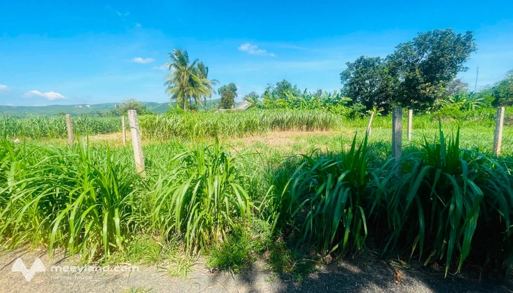Bất động sản tại Phú Yên - ảnh 1