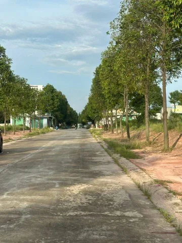 Bất động sản tại Bình Dương - ảnh 1
