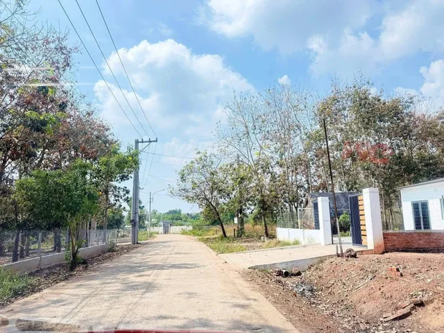 Bất động sản tại Bình Dương - ảnh 1
