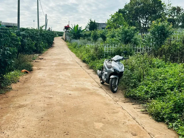 Bất động sản tại Lâm Đồng - ảnh 1