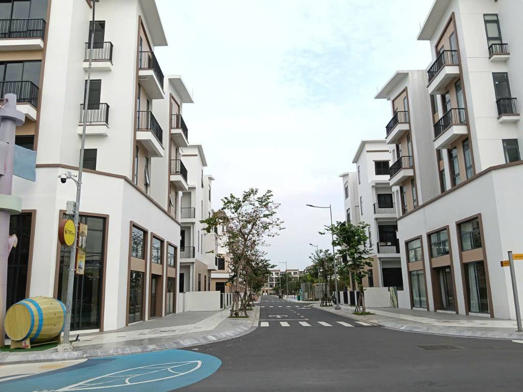 Bất động sản tại Long An - ảnh 1