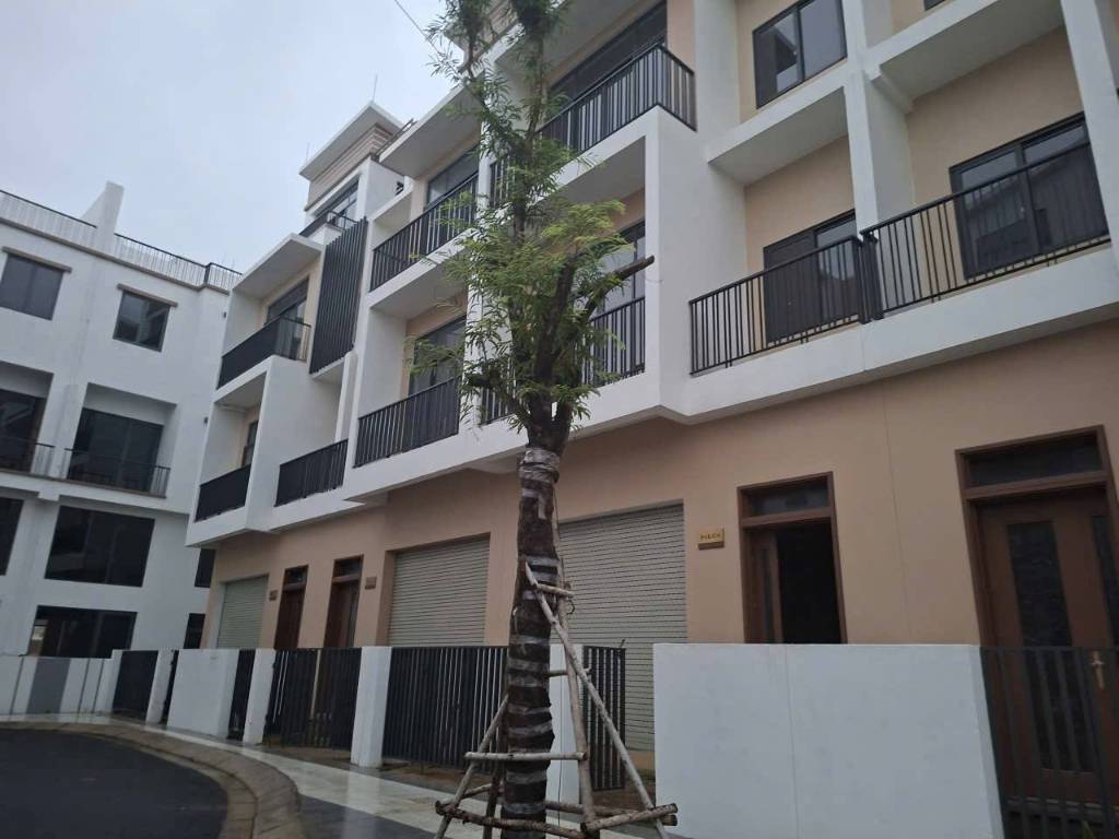 Bất động sản tại Long An - ảnh 1