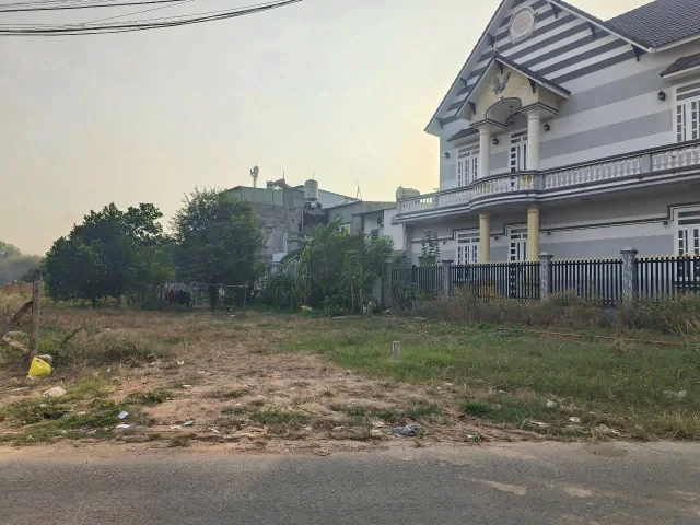 Bất động sản tại Bình Dương - ảnh 1