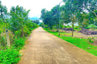 Bất động sản tại Lâm Đồng - ảnh 1