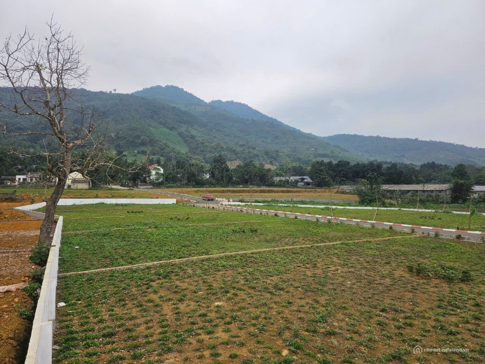 Bất động sản tại Phú Thọ - ảnh 1