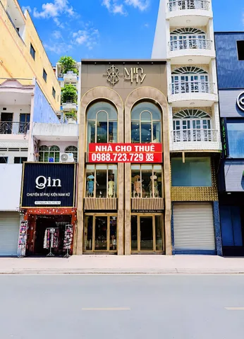 Bất động sản tại TP. Hồ Chí Minh - ảnh 1