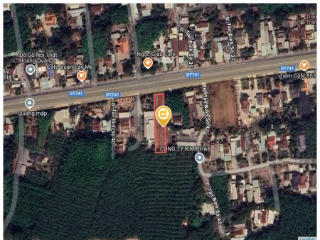 Bất động sản tại Bình Dương - ảnh 1