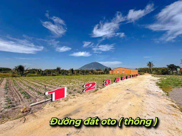 Bất động sản tại Tây Ninh - ảnh 1