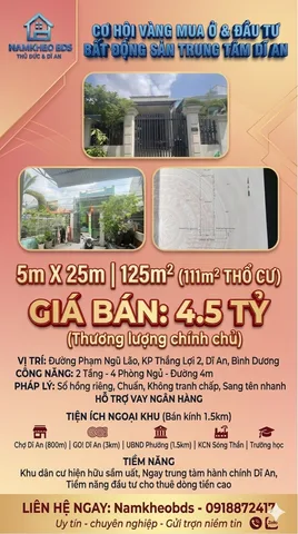 Bất động sản tại Bình Dương - ảnh 1