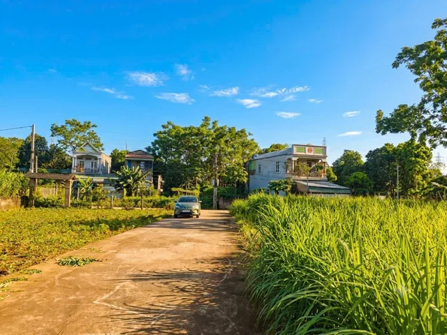 Bất động sản tại Phú Thọ - ảnh 1