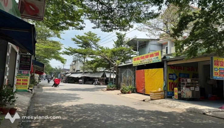 Bất động sản tại Bình Dương - ảnh 1