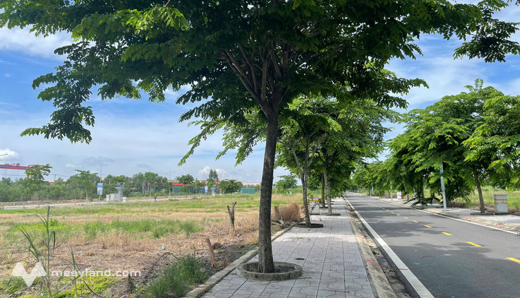 Bất động sản tại Long An - ảnh 1