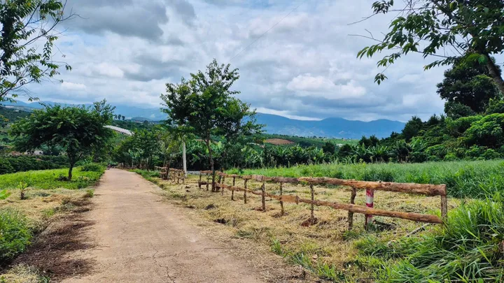Bất động sản tại Lâm Đồng - ảnh 1