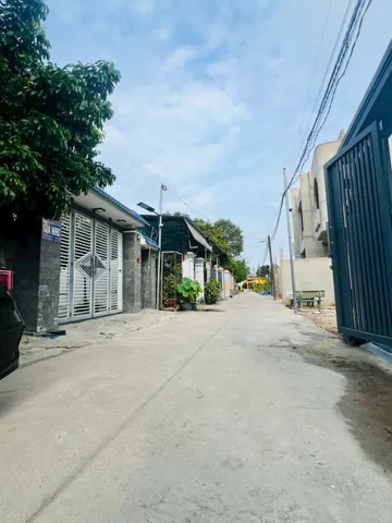 Bất động sản tại Bình Dương - ảnh 1