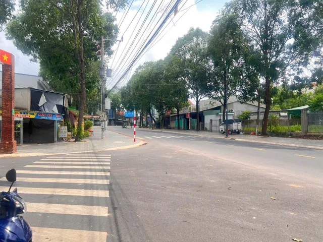 Bất động sản tại Bình Dương - ảnh 1