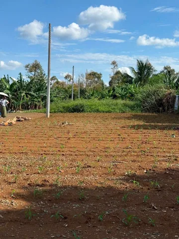 Bất động sản tại Lâm Đồng - ảnh 1