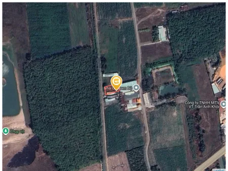 Bất động sản tại Tây Ninh - ảnh 1