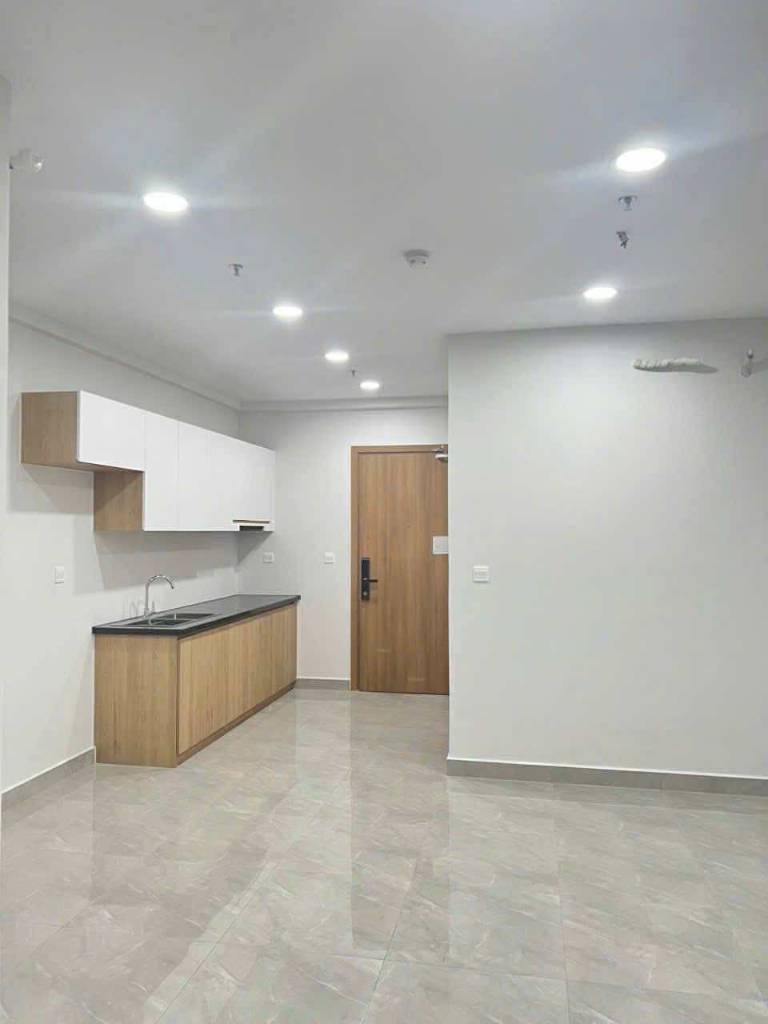 Bất động sản tại Bình Dương - ảnh 1