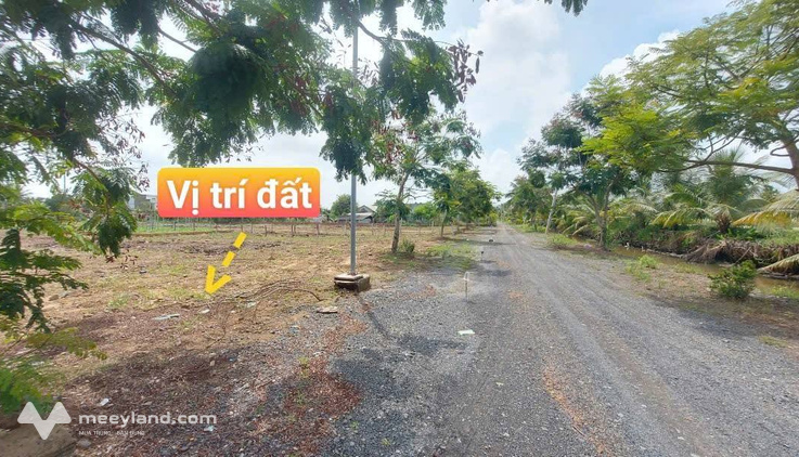Bất động sản tại Long An - ảnh 1