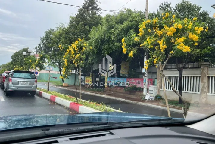Bất động sản tại Bà Rịa - Vũng Tàu - ảnh 1