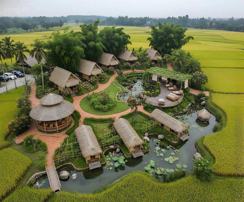 Bất động sản tại Đà Nẵng - ảnh 1